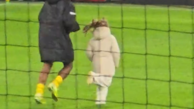 Bëhet viral momenti i ëmbël mes Karim Adayemit dhe Hanës