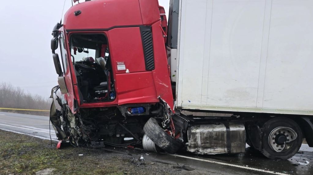Shoferi polak i kamionit që u përplas me tifozët e PAOK i shokuar: 34 vjet në timon, s’kam parë kurrë diçka të tillë