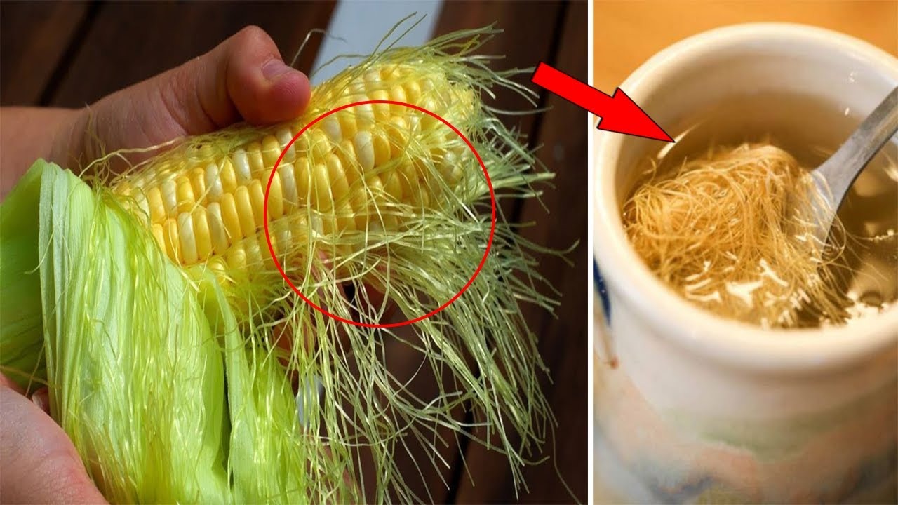 Mjeku “çudit” botën: Mustaqet e misrit kurojnë diabetin dhe tensionin e lartë, ja si t’i përdorni