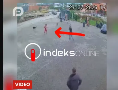 Pamje shqetësuese – Dy vajza sulmohen nga qentë VIDEO
